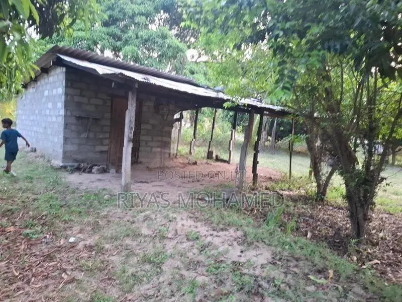 Land for Sale - Ampara Addalaichenai