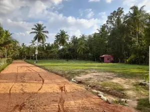 නිකවැරටිය විතිකුලිය කොබේගනේ පාර ළඟින් ඉඩමක්