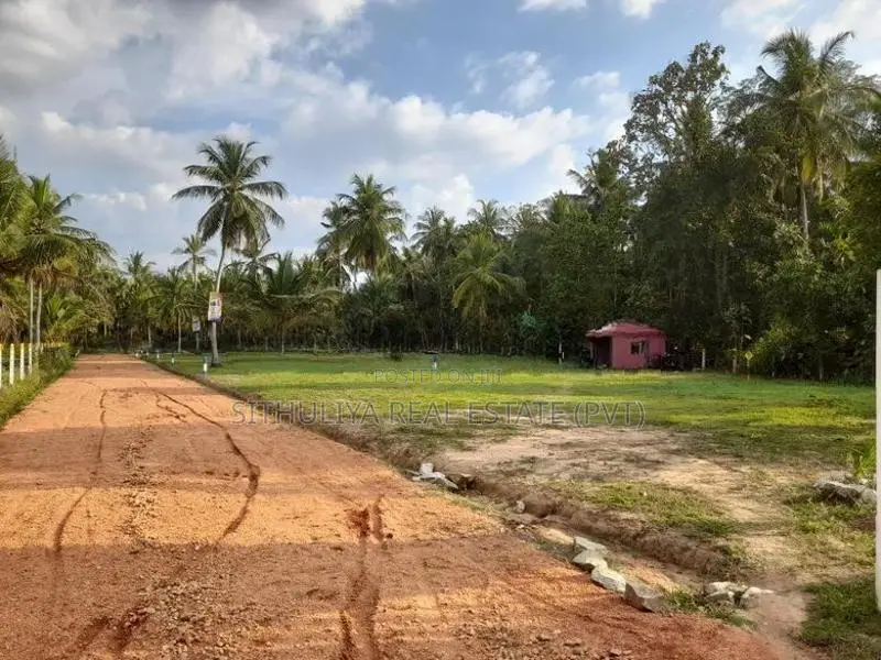 නිකවැරටිය විතිකුලිය කොබේගනේ පාර ළඟින් ඉඩමක්