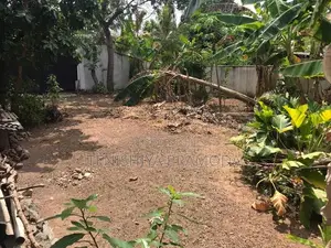 Land for Sale in Pelawattha