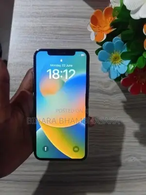 Apple iPhone X (Used)
