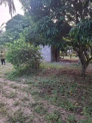 Land for Sale - Ampara Addalaichenai