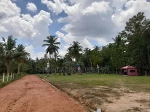 නිකවැරටිය විතිකුලිය කොබේගනේ පාර ළඟින් ඉඩමක්