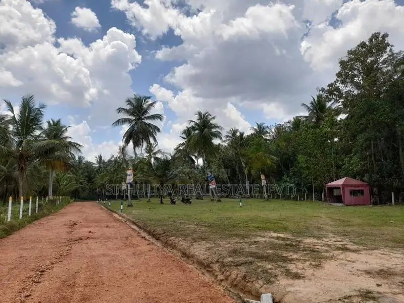 නිකවැරටිය විතිකුලිය කොබේගනේ පාර ළඟින් ඉඩමක්