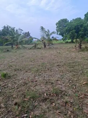 Land for Sale - Ampara Addalaichenai