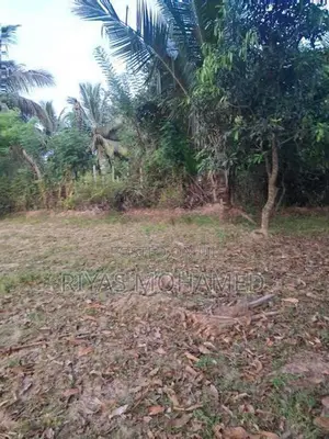 Land for Sale - Ampara Addalaichenai