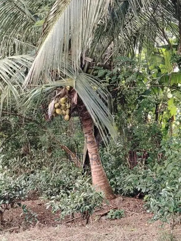 Land for sale Menikdiwela, Pilimathalawa