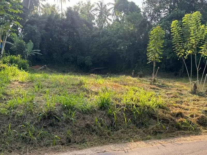 Veyangoda Land for Sale