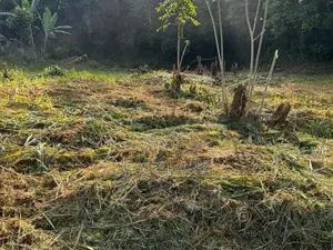 Veyangoda Land for Sale