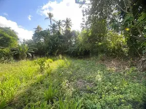 Veyangoda Land for Sale
