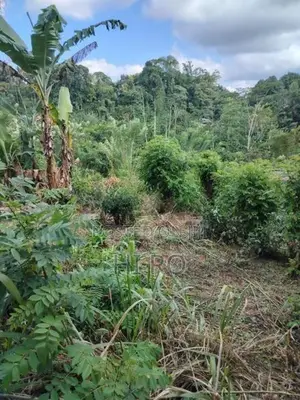Land for sale Menikdiwela, Pilimathalawa