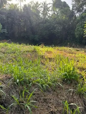 Veyangoda Land for Sale