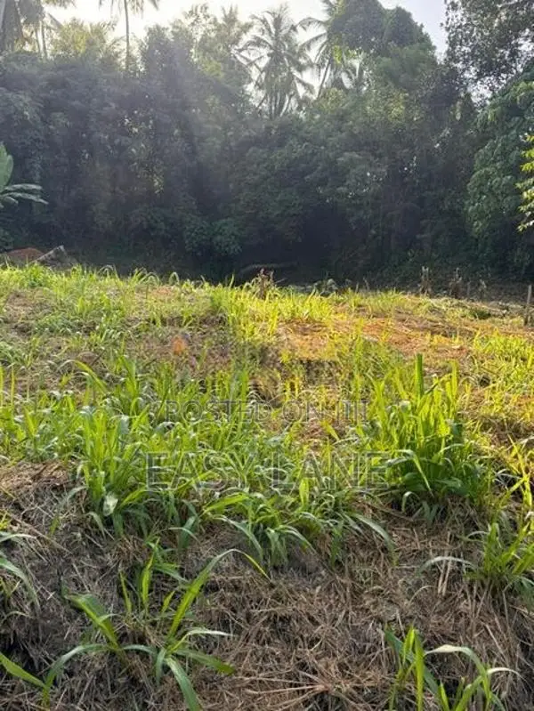 Veyangoda Land for Sale