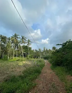 Land for Sale in Yakkala