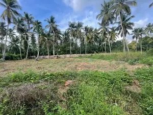 Land for Sale in Yakkala
