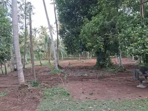 Godigamuwa Land for Sale
