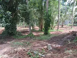 Godigamuwa Land for Sale