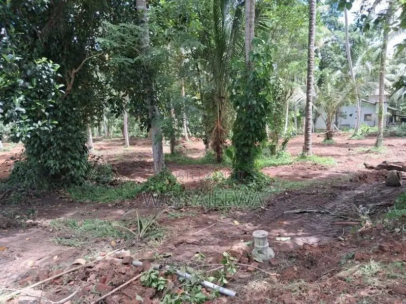 Godigamuwa Land for Sale