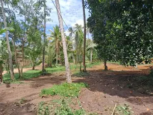Godigamuwa Land for Sale
