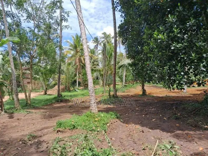 Godigamuwa Land for Sale
