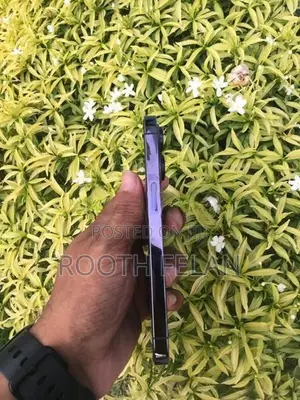 Apple iPhone 14 Pro (Used)