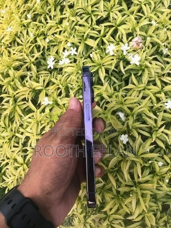 Apple iPhone 14 Pro (Used)