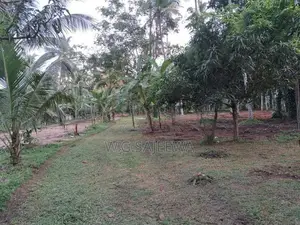 Godigamuwa Land for Sale