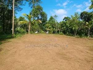 පන්නල පර්චස් 164ක වටිනා සහ මනාව පිහිටි ඉඩමක් වහාම විකිණීමට