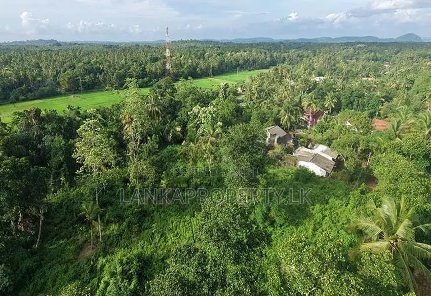 පන්නල පර්චස් 164ක වටිනා සහ මනාව පිහිටි ඉඩමක් වහාම විකිණීමට