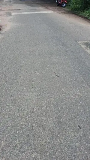 Super Land for Sale in Kirullapone