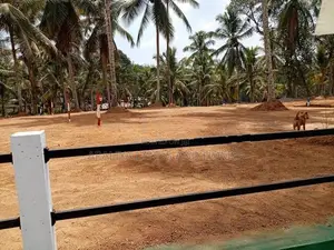 High Valuable Land for Sale