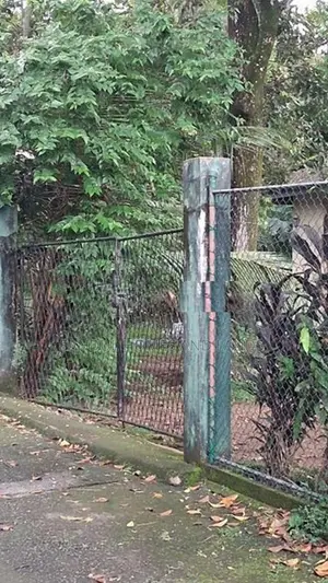 Super Land for Sale in Diwlpitiya