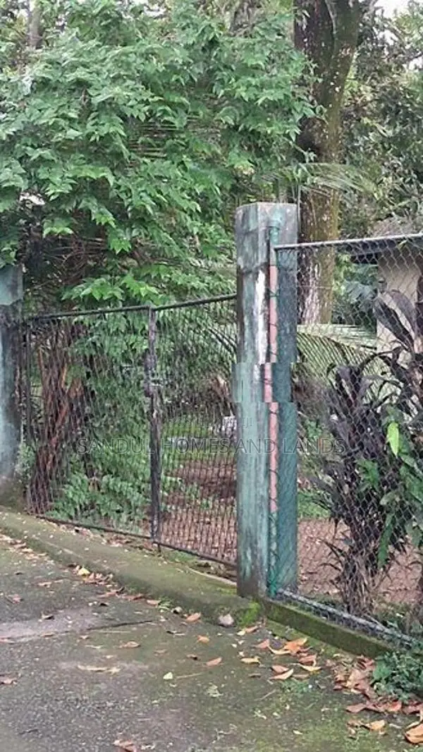 Super Land for Sale in Diwlpitiya