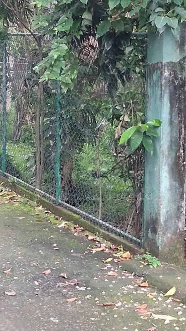 Super Land for Sale in Diwlpitiya