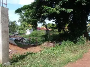 8.75P Land for Sale in Meemanagoda Road, Kalalgoda (SL 11186)