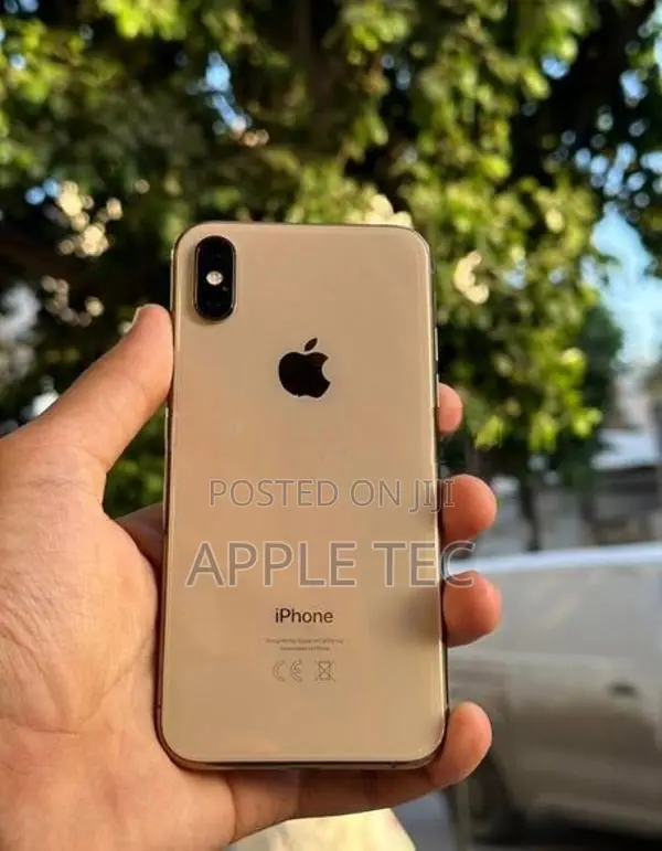 Apple iPhone XS 64GB (Used)