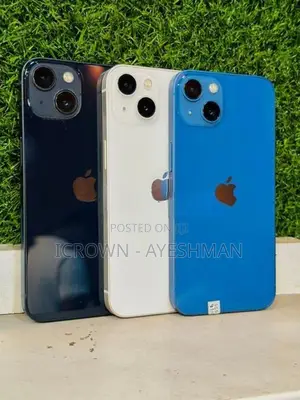 Apple iPhone 13 128GB (Used)