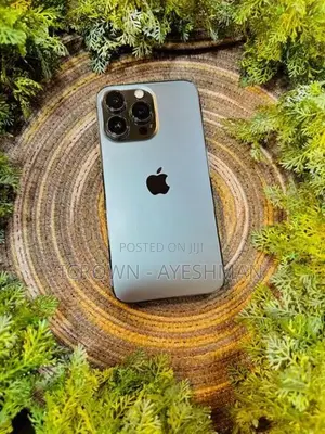 Apple iPhone 13 Pro 128GB (Used)