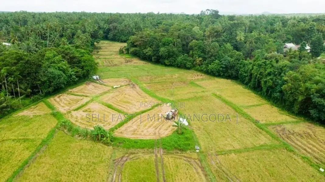 Land - Negambo