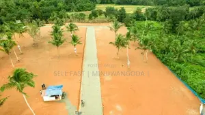 Land - Negambo