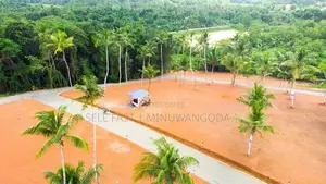 Land - Negambo
