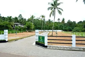 Land For Sale Naiwala