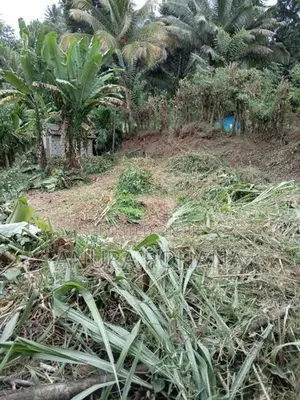 15 Perch Land for Sale in Katugastota