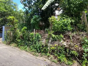 අම්බලන්ගොඩ නගර සීමාවෙන් අගනා ඉඩමක් විකිණීමට