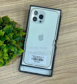 Apple iPhone 13 Pro Max 1TB (Used)