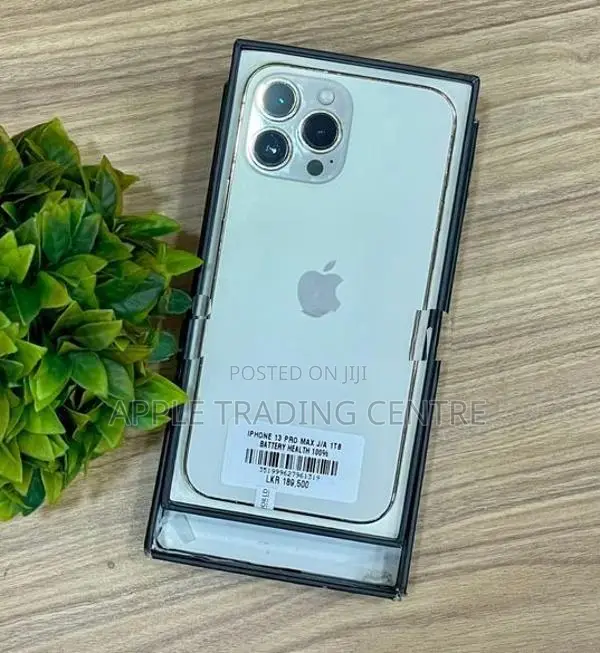 Apple iPhone 13 Pro Max 1TB (Used)