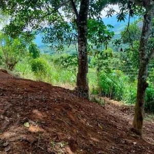 House with Scenic Land for Sale Balangoda
