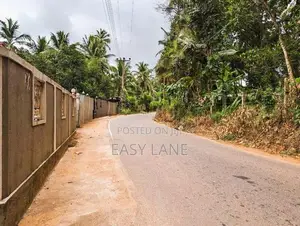 ඌරාපොලෙන් වගාව සමඟ වටිනා ඉඩමක් / SA 8152