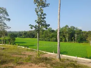 මාතර වෙලකට මුහුණලා ඉඩමක්