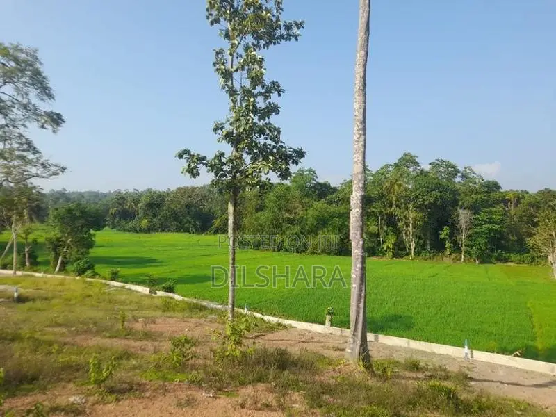 මාතර වෙලකට මුහුණලා ඉඩමක්